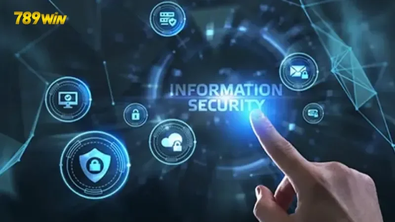 Phạm vi thông tin được thu thập